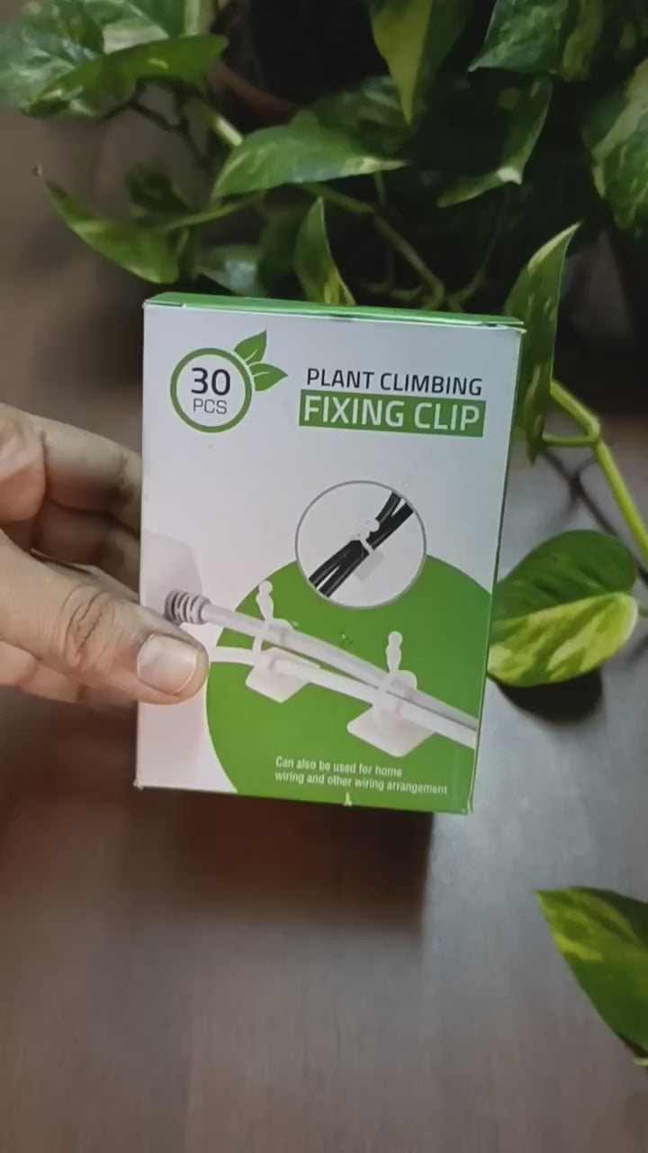 Plant clip (30p)