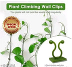Plant clip (30p)